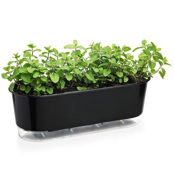 Imagem de Vaso Jardineira Raiz Autoirrigável 40cm Preto Plantas