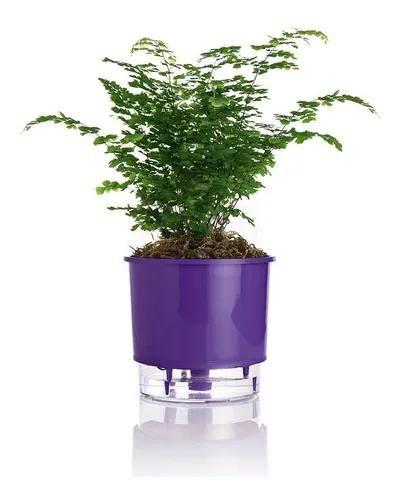 Imagem de Vaso para plantas, hortaliças - Auto Irrigável - Escolha A Cor - N.03
