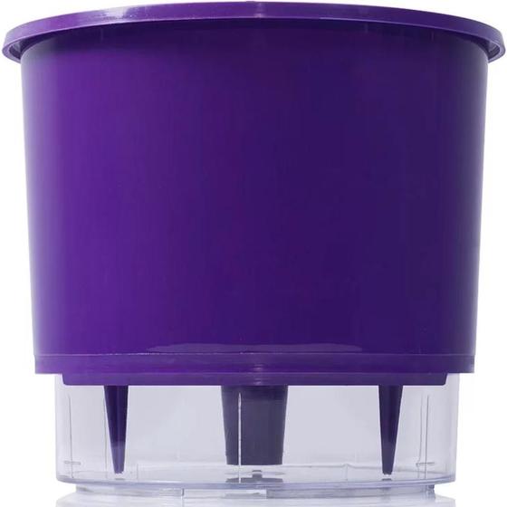 Imagem de Vaso Raiz Auto Irrigável Médio Roxo Temperos Envio Imediato