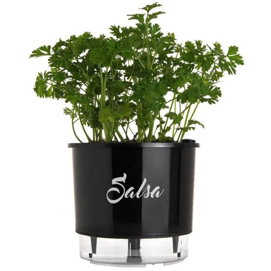 Imagem de Vaso Raiz Autoirrigável N3 Preto Salsa Tempero Plantar