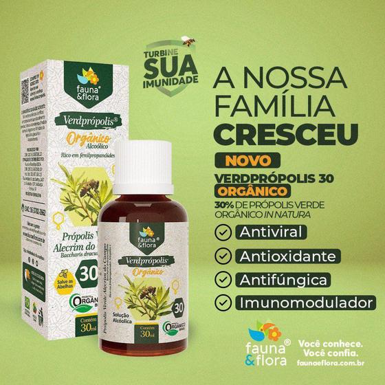Imagem de Verdprópolis Orgânico Solução Alcoólica 30% - 30ml - Fauna&Flora