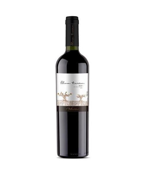 Imagem de Vinho Alma Tierra Syrah 750ml