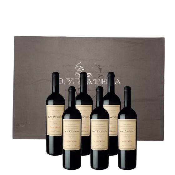 Vinho Argentino DV Malbec Malbec Caixa Com 6 Und