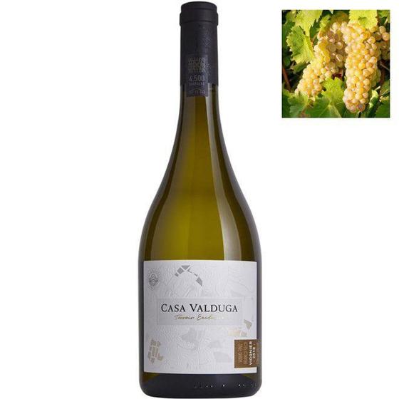 Imagem de Vinho Branco Casa Valduga Terroir Exclusivo Viognier 750 mL