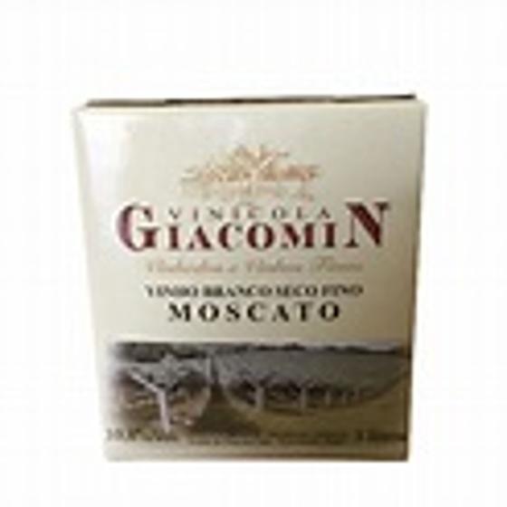 Imagem de Vinho giacomin branco seco fino moscato kit 2 un