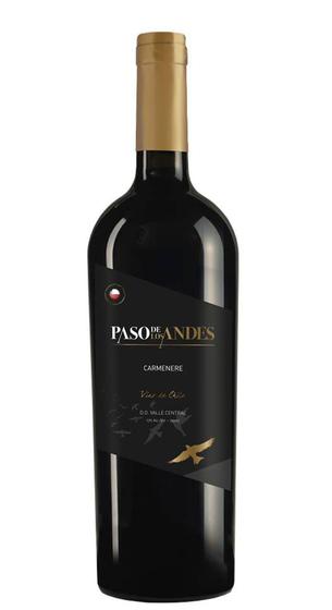 Imagem de Vinho Paso de Los Andes Carmenere 750ml