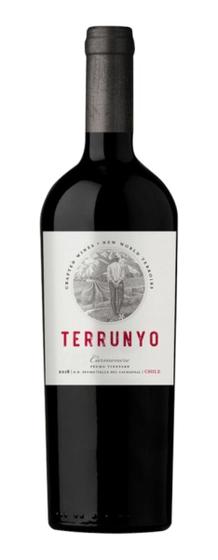 Imagem de Vinho Terrunyo Valle De Casablanca Cabernet Sauvignon 750ml