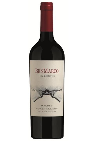 Imagem de Vinho Tinto Benmarco Sin Limites Gualtallary Malbec 750 Ml