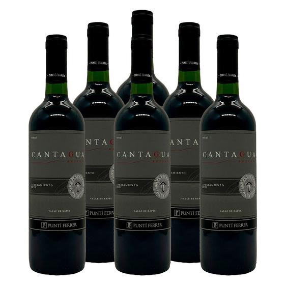 Imagem de Vinho Tinto Cantagua Apassamiento Edição Limitada 750ml 6un