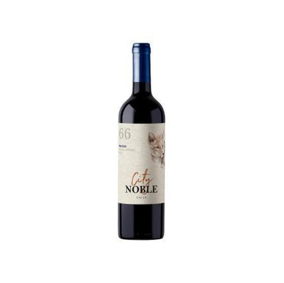 Imagem de Vinho Tinto City Noble Merlot D.O. Valle Central 750ml - Bodegas e Vinhedos de aguirre