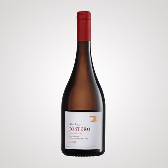 Imagem de Vinho Tinto Costeiro Pinot Noir 750Ml