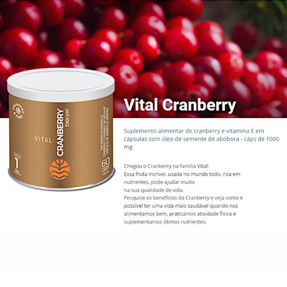 Imagem de Vital Cranberry Semente De Abóbora Vitamina E 60 Caps