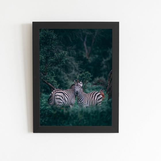 Imagem de Zebras Floresta Natureza Foto Quadro Moldura Preta 60x40cm