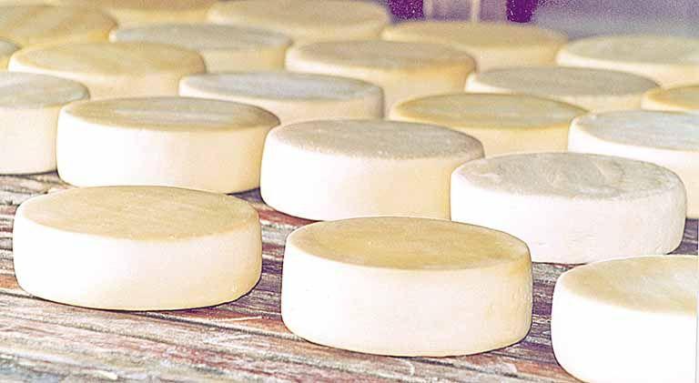 01 - QUEIJOS Meia Cura/- Norte de Minas - Queijo Minas Premium - 1KG - Queijaria Imagem de 01 - QUEIJOS Meia Cura/- Norte de Minas - Queijo Minas Premium - 1KG