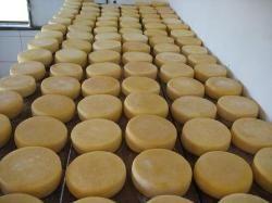 01 - QUEIJOS Meia Cura/- Norte de Minas - Queijo Minas Premium - 1KG - Queijaria Imagem de 01 - QUEIJOS Meia Cura/- Norte de Minas - Queijo Minas Premium - 1KG