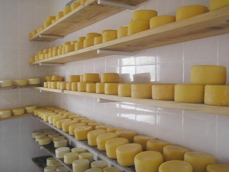 01 - QUEIJOS Meia Cura/- Norte de Minas - Queijo Minas Premium - 1KG - Queijaria Imagem de 01 - QUEIJOS Meia Cura/- Norte de Minas - Queijo Minas Premium - 1KG