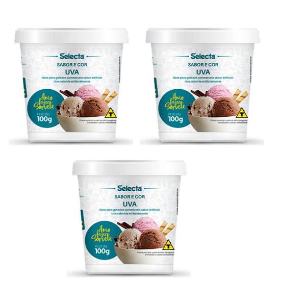 03 Base Sabor Fabricação Sorvetes Geladinhos Vários Sabores Alto Rendimento Selecta Imagem de 03 Base Sabor Fabricação Sorvetes Geladinhos Vários Sabores Alto Rendimento Selecta