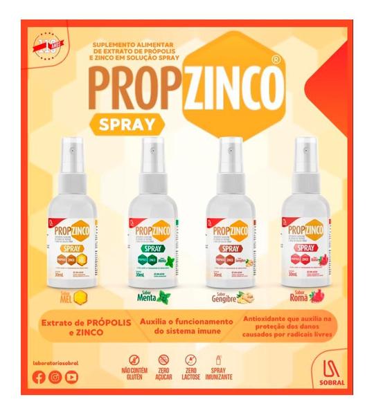 Imagem de 03un Própolis, Zinco e Gengibre Spray Propzinco 30mll