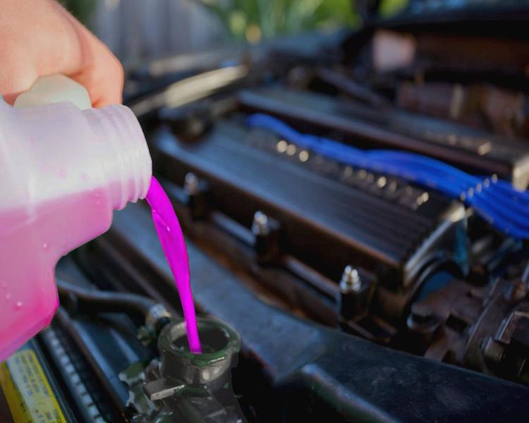 Imagem de 05 Liquidos do Sistema de Arrefecimento Pronto para Uso - Aditivo Orbi Rosa