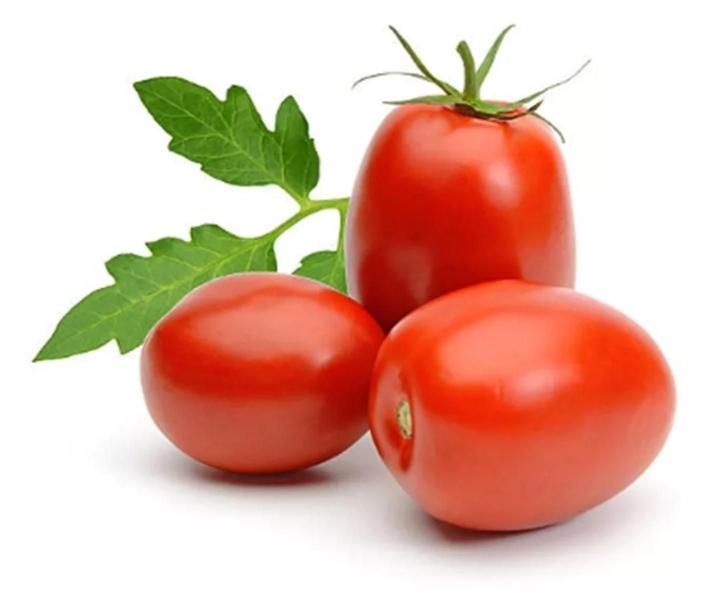 Imagem de 1.000 SEMENTES Tomate Híbrido Enzo