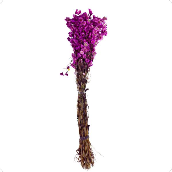 Imagem de 1 Buquê Margarida Natural Roxo Desidratado Arranjo Decoração Casa