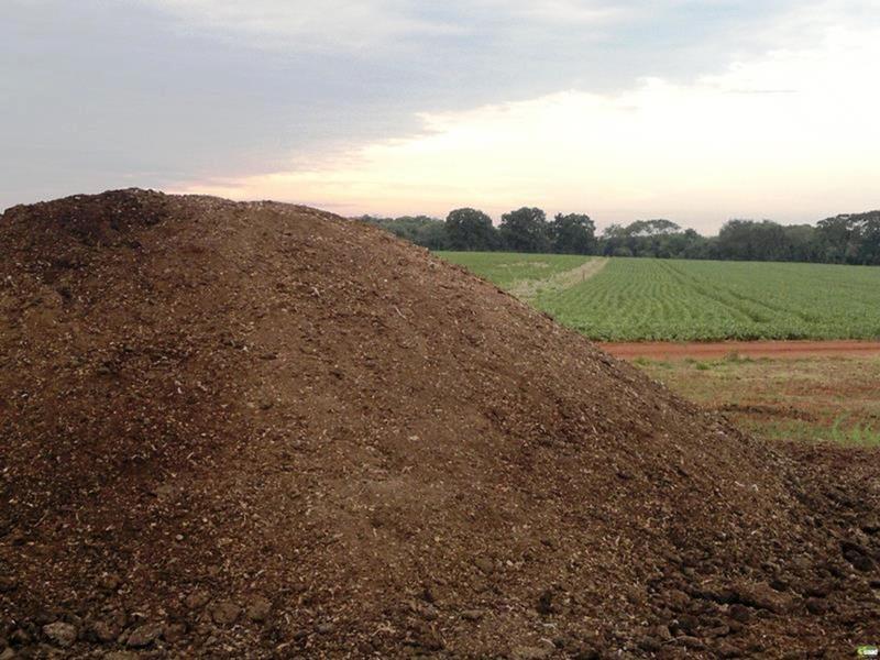 Imagem de 1 Esterco Bovino 3kg Calterra Horta/ Pomares