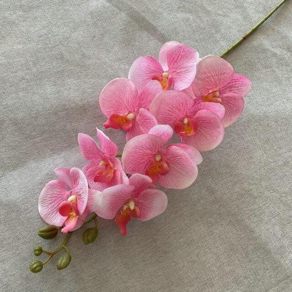 Imagem de 1 Haste De Orquídea Artificial Silicone Para Decorações 69cm
