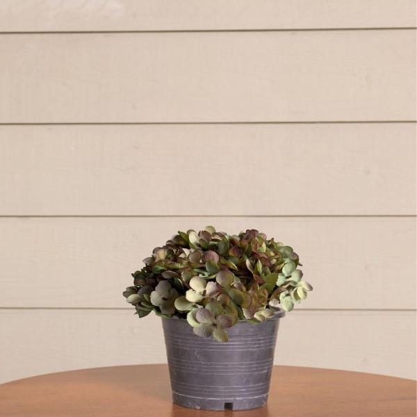 10 buquê flores artificiais tecido mini Hortência para decoração de cozinha arranjo floral (26 cm) - DE1923 - Decora Flores Artificiais Imagem de 10 buquê flores artificiais tecido mini Hortência para decoração de cozinha arranjo floral (26 cm) - DE1923