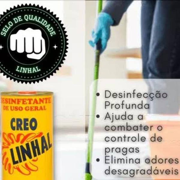 Imagem de 10 Desinfetante Creolina LInhal Tira odor Pet