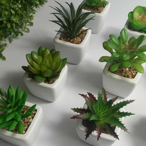 Imagem de 10 Mini Vaso Suculenta Decorativo Cachepot p/ Plantas-Flores