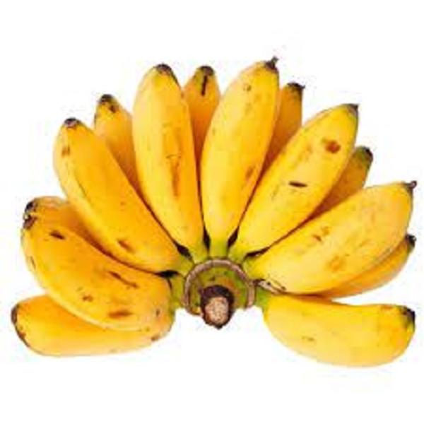 Imagem de 10 Mudas De Banana Maçã - Melhoradas Geneticamente