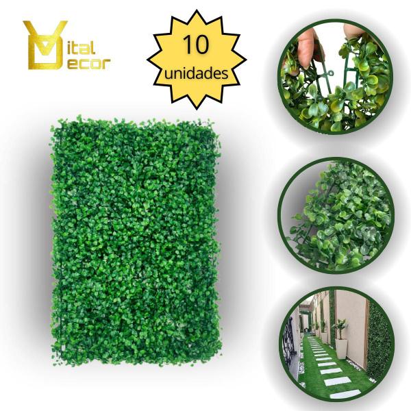 10 Placa Artificial De Folhagem Buxinho Revestimento Parede - VITAL DECOR Imagem de 10 Placa Artificial De Folhagem Buxinho Revestimento Parede