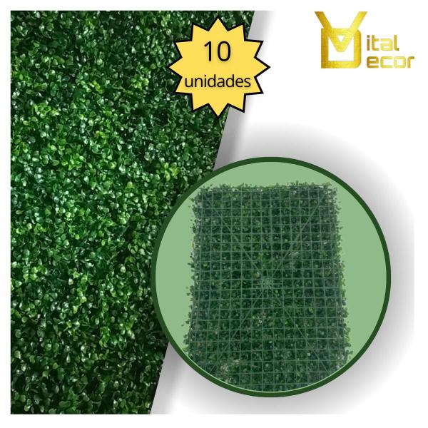 10 Placa Artificial De Folhagem Buxinho Revestimento Parede - VITAL DECOR Imagem de 10 Placa Artificial De Folhagem Buxinho Revestimento Parede