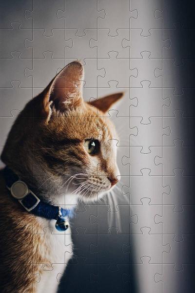 Imagem de 10 Quebra-Cabeça Cognitivo Idosos Gatos E Cachorros