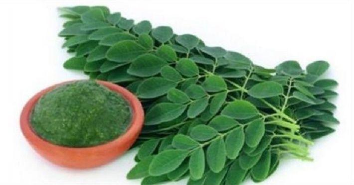 Imagem de 100%  Moringa Natural   (350g)