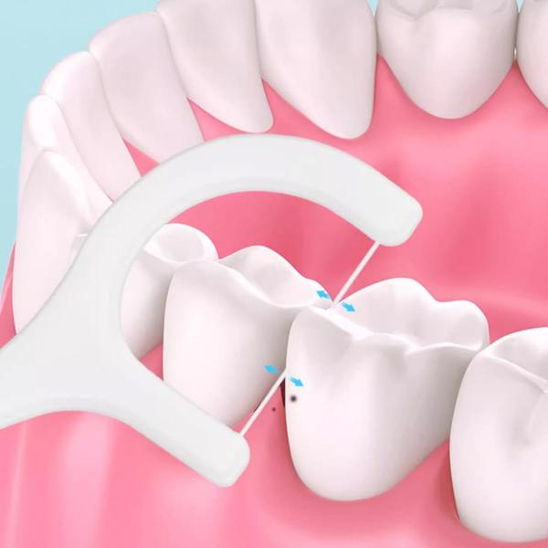 Imagem de 100 Pçs Palito Dental Fio Dental Com Haste Higiene Bucal