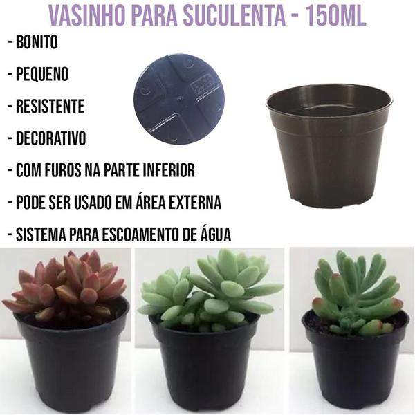 Imagem de 120 Mini Vasos Plástico N7 Preto Suculentas Cactos Atacado