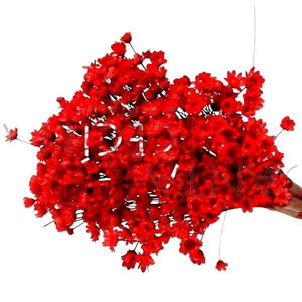 Imagem de 1200 Sempre Viva Florzinha Vermelho I Flores Desidratadas