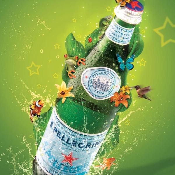 Imagem de 12X Água Mineral Italiana San Pellegrino Com Gás 505Ml