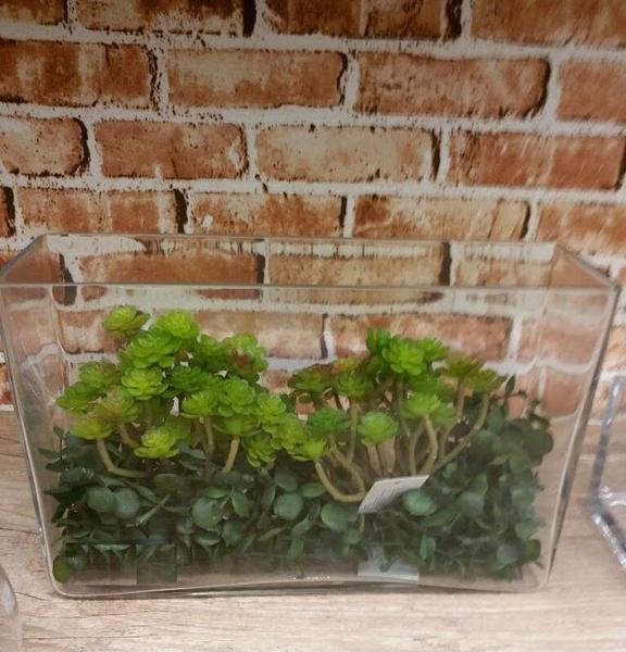 Imagem de 15 plantas artificiais suculentas em silicone para casa jardim decoração e painéis - preço atacado - DE8863VD