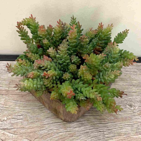 15 Suculentas Sedum Mini Planta Artificial de Qualidade para Atacado e Varejo para Decoração- DE8903 - Decora Flores Artficiais Imagem de 15 Suculentas Sedum Mini Planta Artificial de Qualidade para Atacado e Varejo para Decoração- DE8903