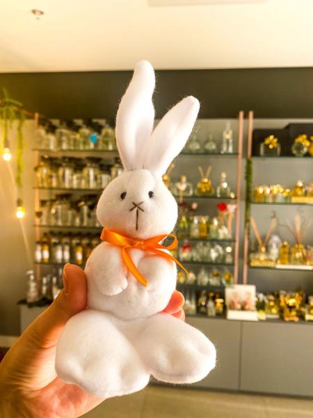 15 Unid - Coelhinhos de Soft 17cm - EB Fragrance Imagem de 15 Unid - Coelhinhos de Soft 17cm