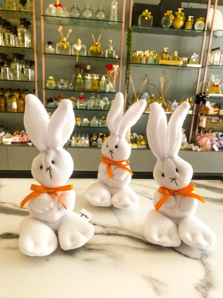 15 Unid - Coelhinhos de Soft 17cm - EB Fragrance Imagem de 15 Unid - Coelhinhos de Soft 17cm