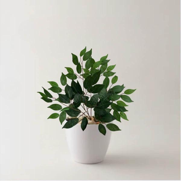 18 Plantas Fícus folhagem artificial atacado ornamentação de vasos e decorações internas - DE0224 - Decora Flores Artificiais Imagem de 18 Plantas Fícus folhagem artificial atacado ornamentação de vasos e decorações internas - DE0224