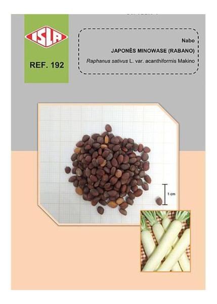 Imagem de 2.070 Sementes de Rabano Nabo Minowase Japones - 30g