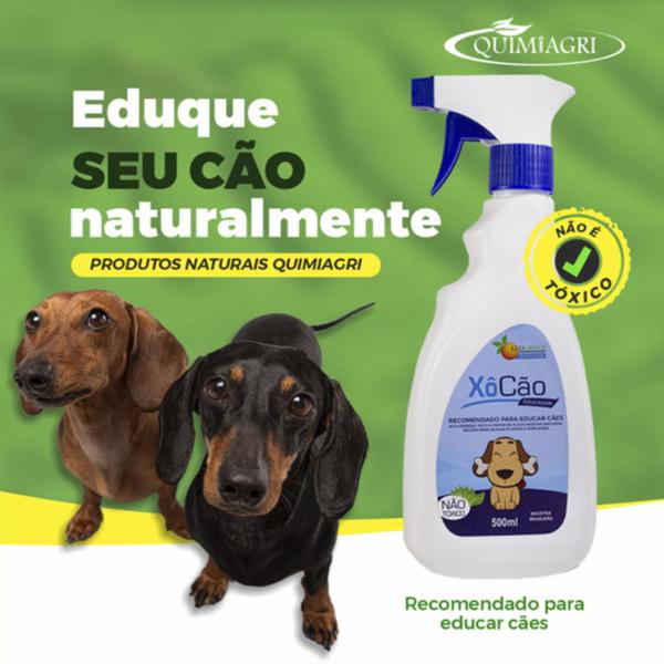 Imagem de 2 Adestrador Xo Cão Educador Cachorro 500ml - Não Toxico