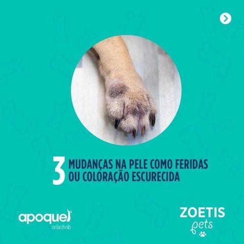 Imagem de 2 Apoquel 5,4mg Dermatológico P/ Cães Anti-coceira