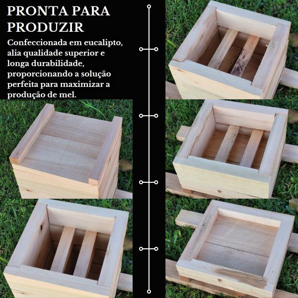 Imagem de 2 Caixas Inpa Abelhas Sem Ferrão 18 x 18 Com Atrativo 50 ML