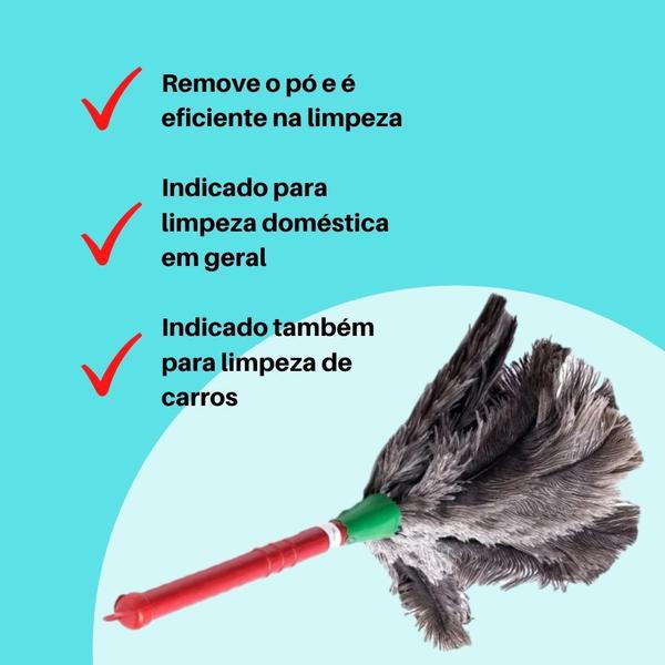 Imagem de 2 Espanadores Pena De Avestruz 30cm Duster Para Limpeza Seca