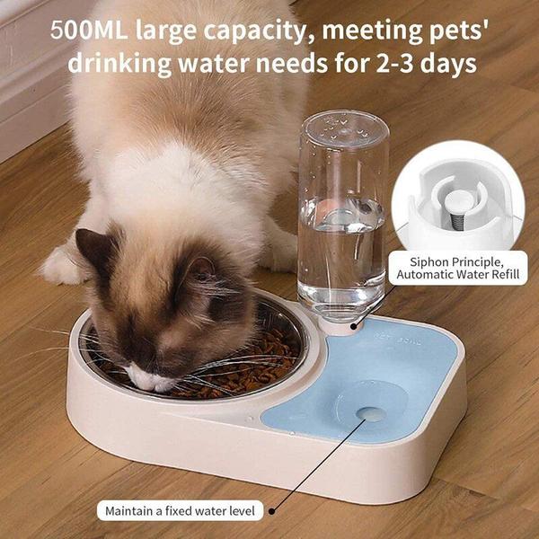 2 in1 Distribuidor de água tigela de aço inoxidável 500ml Eco Friendly Destacível Anti Slip Alimentador de animais de estimação Waterer sem boca molhada Alimentação de cães - HTTN Imagem de 2 in1 Distribuidor de água tigela de aço inoxidável 500ml Eco Friendly Destacível Anti Slip Alimentador de animais de estimação Waterer sem boca molhada Alimentação de cães